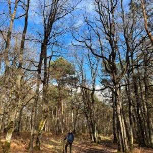 À force de rendre visite à @ffederbe et @nono_in_countryside, ce compte sera bientôt soumis au lobby du Loiret (après celui des Ardennes).#france #landscape